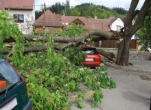 Kwikfynd Tree Cutting Services
stapylton